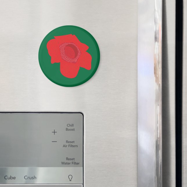 Íman Rafflesia (In Situ (Fridge))