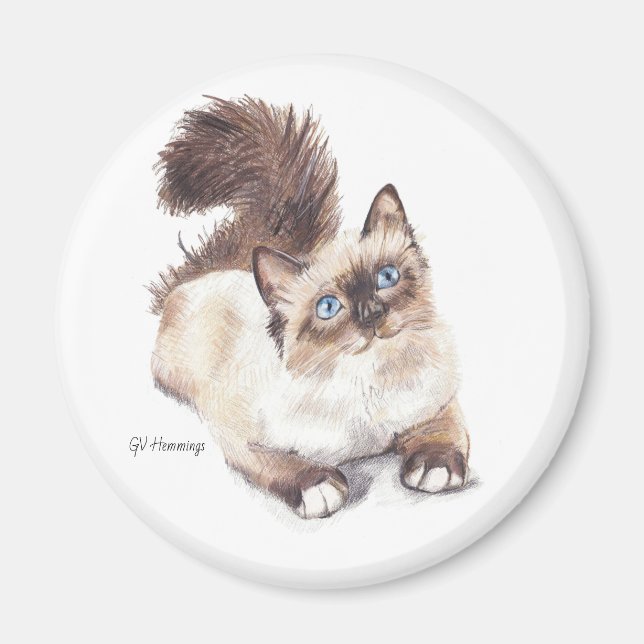 Íman Ragdoll cat por artista GV Hemmings (Frente)