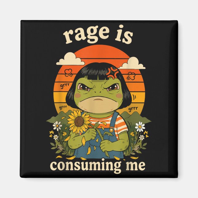 Íman Rage de Sapo Engraçado Está Consumindo Meme Sarcás (Frente)