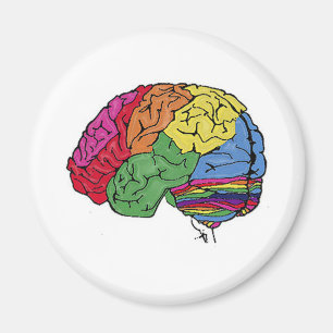 Íman Rainbow Brain