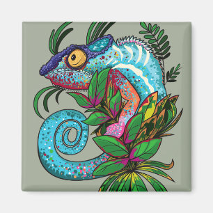 Íman Rainbow Chameleon