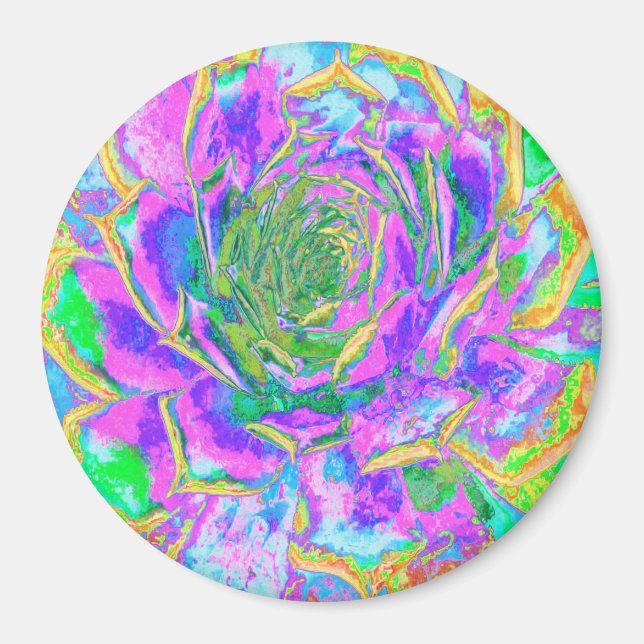 Íman Rainbow Colors Fiesta Succulent Sedum Rosette (Frente)