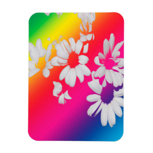 Íman Rainbow daisies
