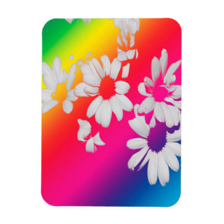 Íman Rainbow daisies