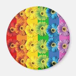Íman Rainbow Daisies