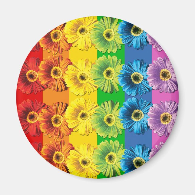 Íman Rainbow Daisies (Frente)