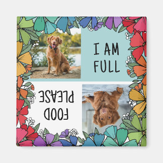 Íman Rainbow Floral Frame Dog Foto Fed