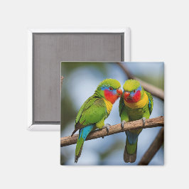 Íman Rainbow Lorikeets