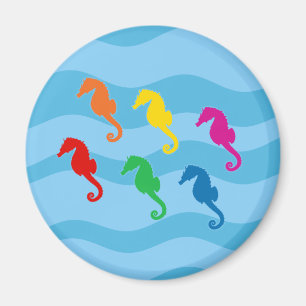 Íman Rainbow Seacavalo