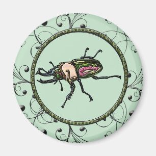Íman Rainbow Stag Beetle