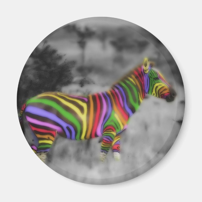 Íman Rainbow Zebra (Frente)