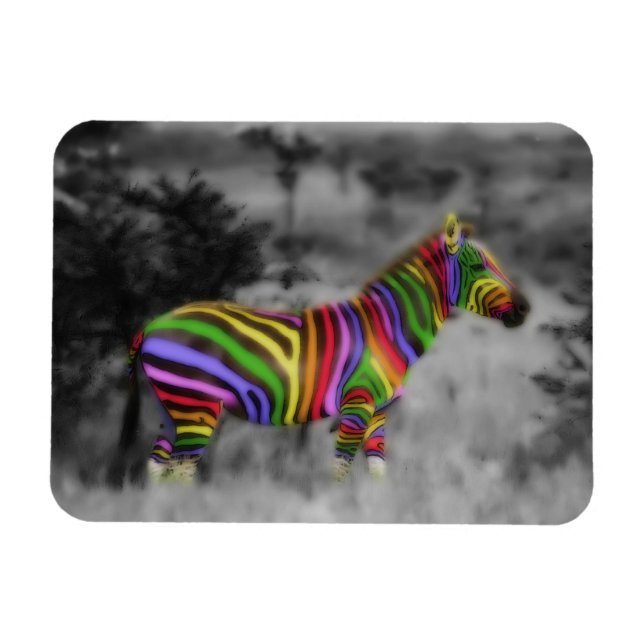 Íman Rainbow Zebra (Horizontal)