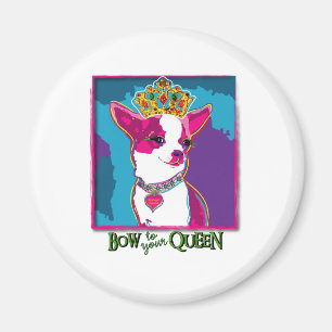 Íman Rainha da chihuahua
