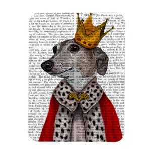 Íman Rainha Greyhound