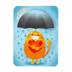 Íman Rainy Day
