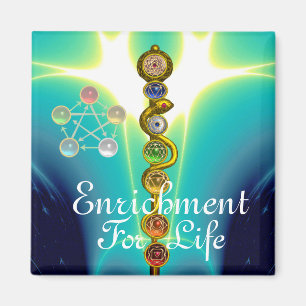 ÍMAN RAIO DE ASCLEPIUS 7 CHAKRAS,YOGA, ENERGIA ESPIRITU
