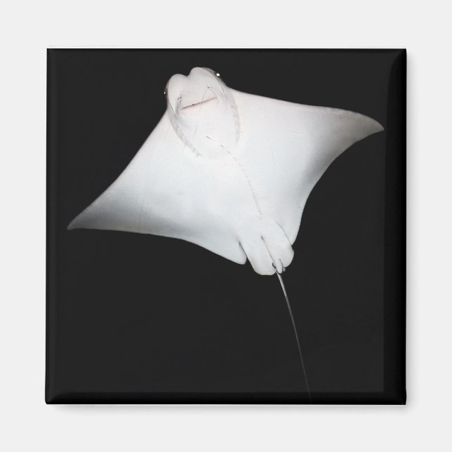 Íman Raio Sorrindo (Frente)