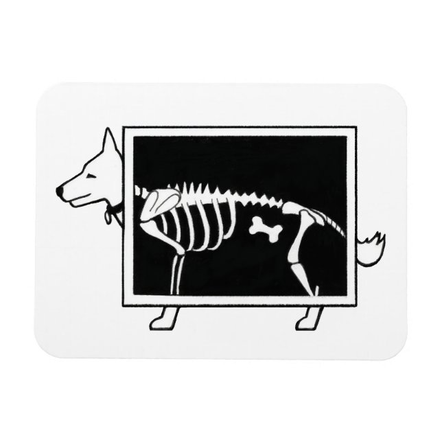 Íman Raio-X do cão (Horizontal)