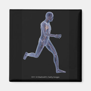 Íman Raio X do sistema vascular em um homem running
