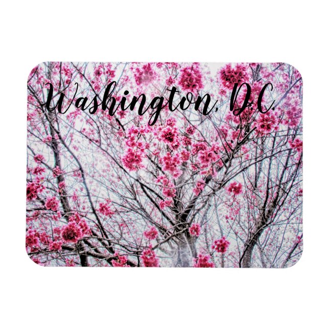 Íman Ramais e Blooms de uma Árvore Cerejeira (Horizontal)