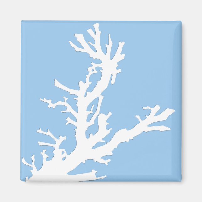 Íman Ramal de coral - branco em azul pálido (Frente)