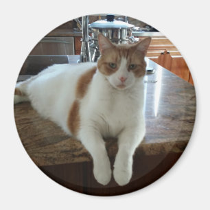 Íman Rambo - Gatinho laranja