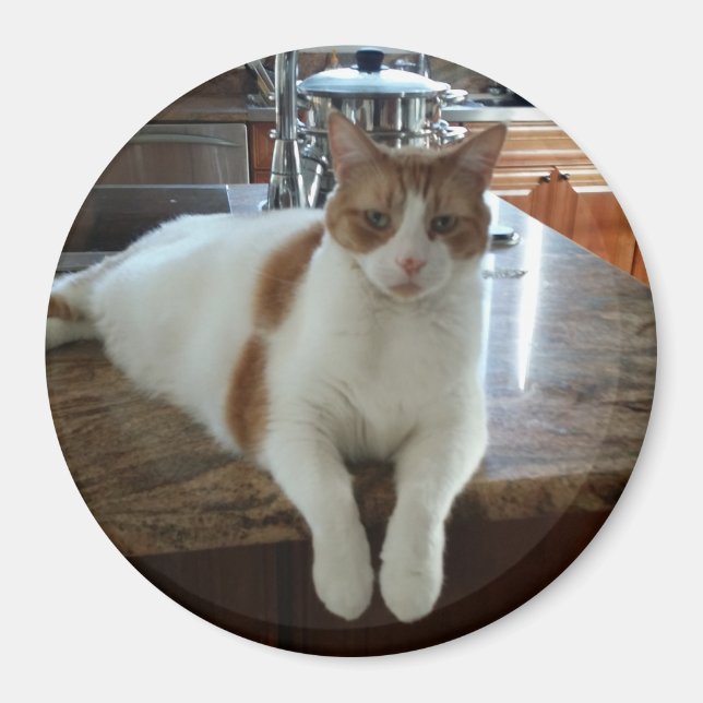 Íman Rambo - Gatinho laranja (Frente)