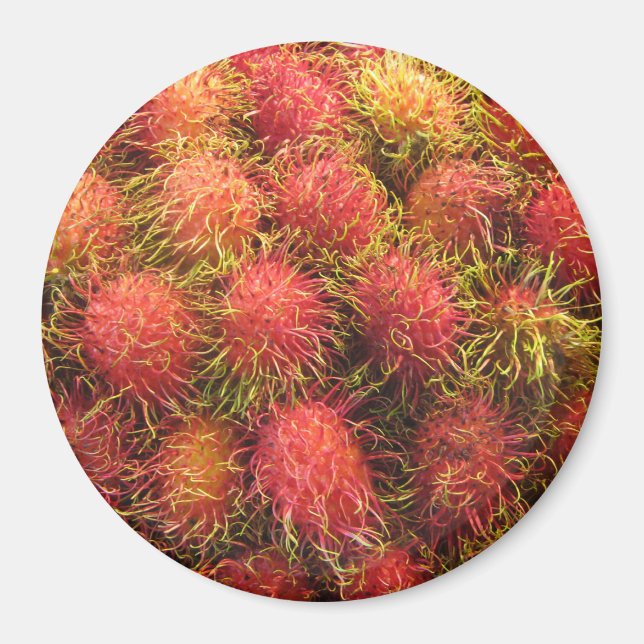Íman Rambutan Tropical Fruta (Frente)