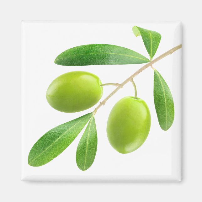 Íman Ramificação com azeitona verde (Frente)