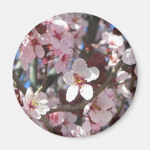 Íman Ramificação de Brilhos Rosa Primavera Floral