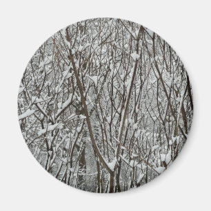 Íman Ramificações cobertas por neve inverno
