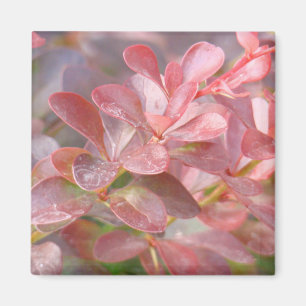 Íman Ramificações rosa Bonito