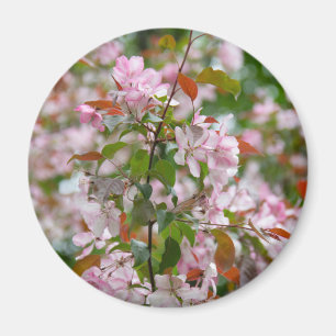 Íman Ramo delicado com macieira de flores