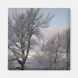 Íman Ramos cobertos de neve