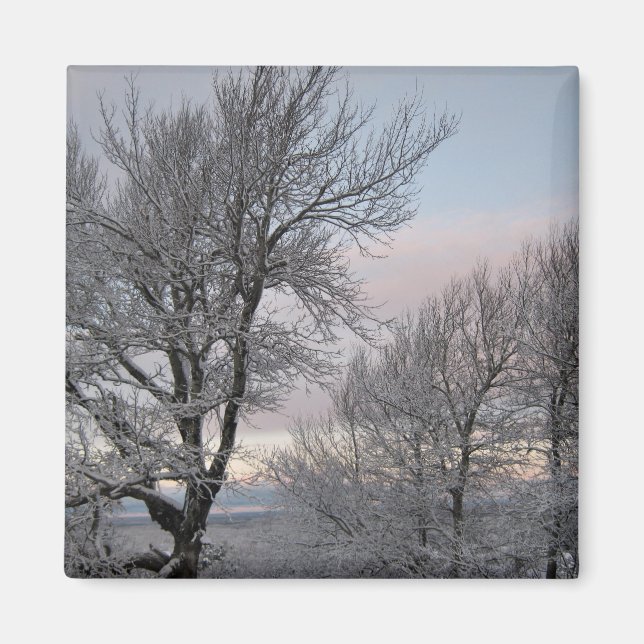 Íman Ramos cobertos de neve (Frente)