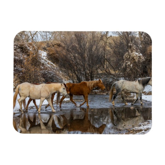 Íman Rancho Hideout Horse (Horizontal)