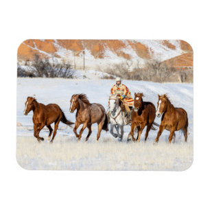 Íman Rancho Hideout Horse, Vaqueiro e Cavalos