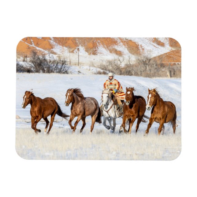 Íman Rancho Hideout Horse, Vaqueiro e Cavalos (Horizontal)