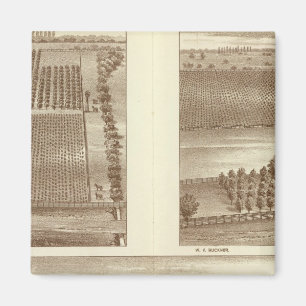 Íman Ranjas Lemoore