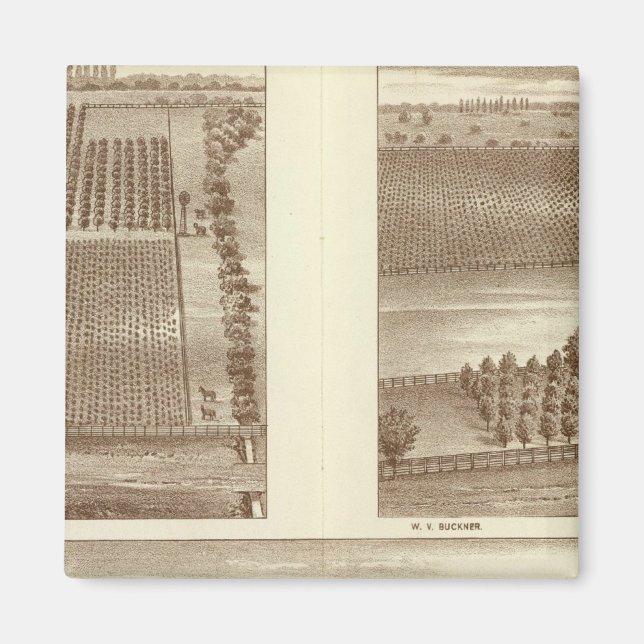 Íman Ranjas Lemoore (Frente)