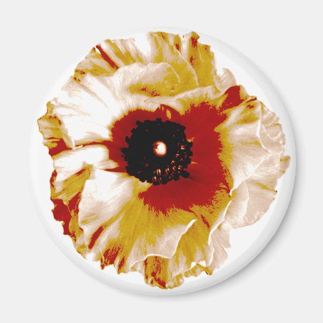 Íman ranóculo branco e laranja vibrante (Frente)