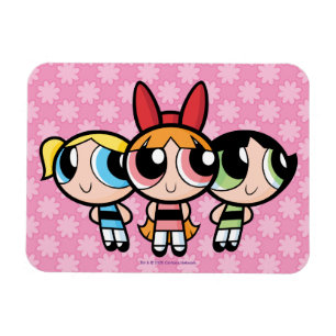 Íman Raparigas Powerpuff: Açúcar, especiarias e tudo 