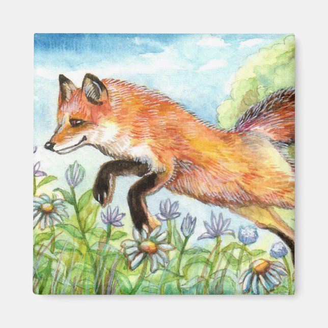 Íman Raposa-de-coleira (Frente)