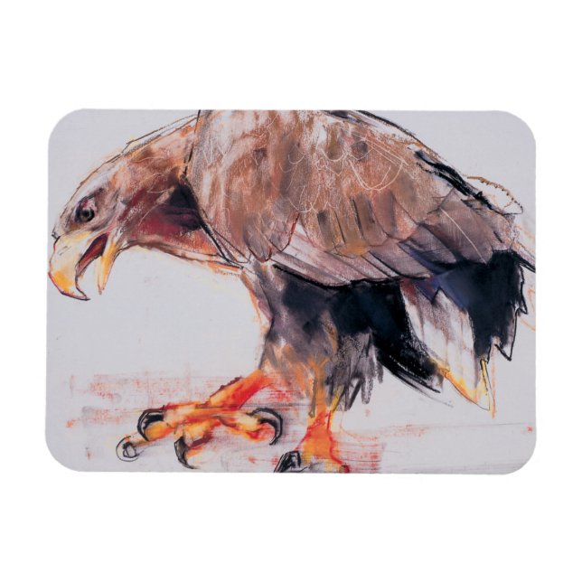 Íman Raptor 2001 (Horizontal)