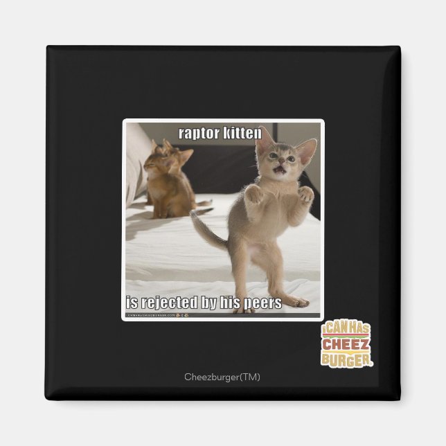 Íman Raptor Kitten (Frente)