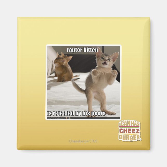 Íman Raptor Kitten (Frente)