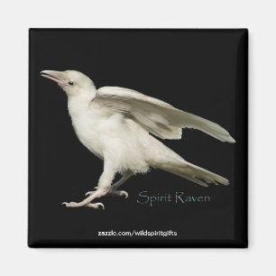 Íman Raras White Raven Photo Spirit Raven II Series