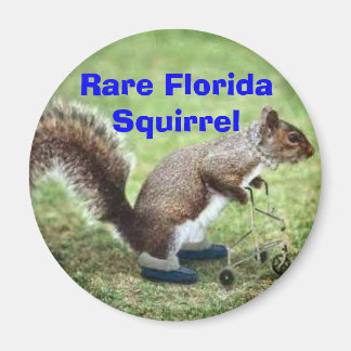 Íman Rare Florida Squirrel