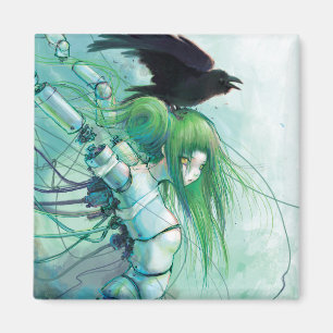 Íman Rasgos desmontados