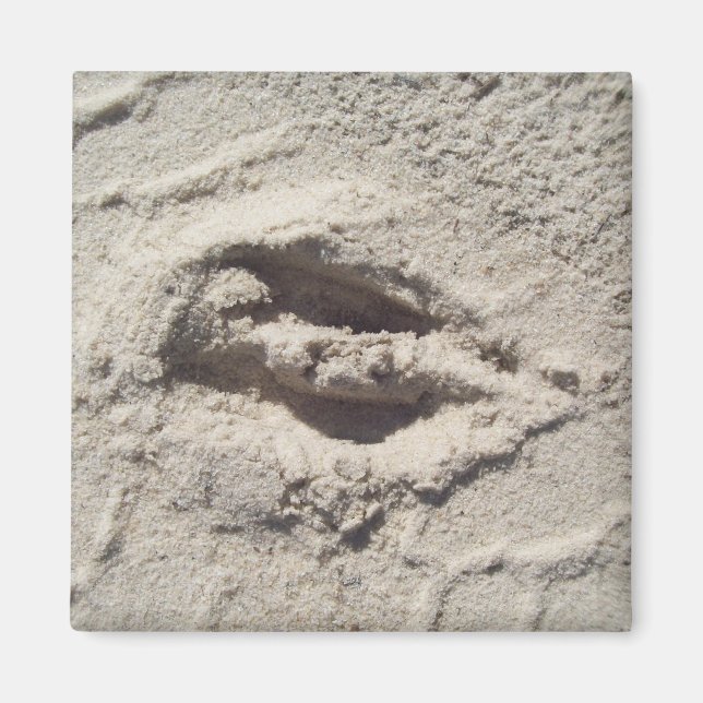 Íman Rastreio (Frente)